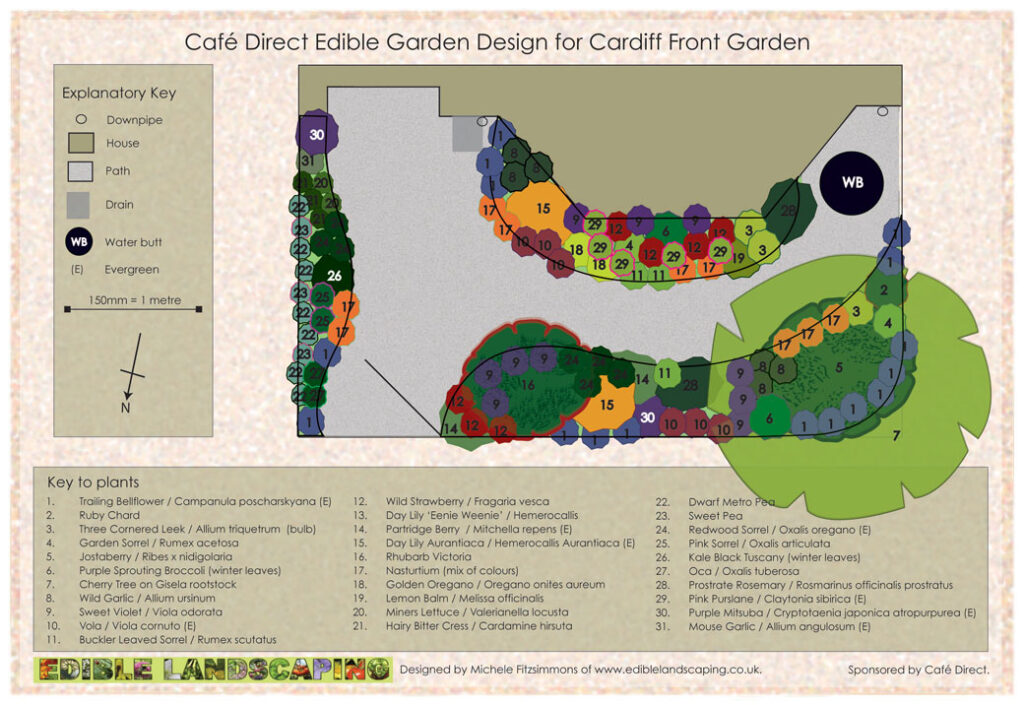 Café-Direct Edible Front Garden