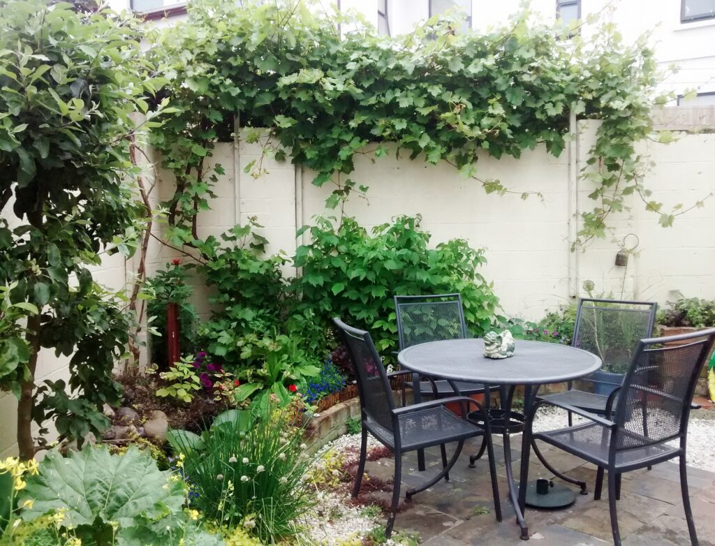 Small city courtyard garden designed for ornamental edibles and wildlife value.