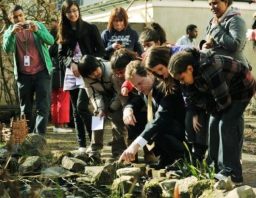 School group study pond wildlife